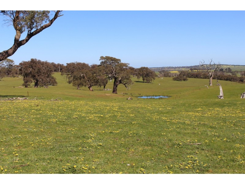 Pittong-Snake Valley Road, Pittong VIC 3360