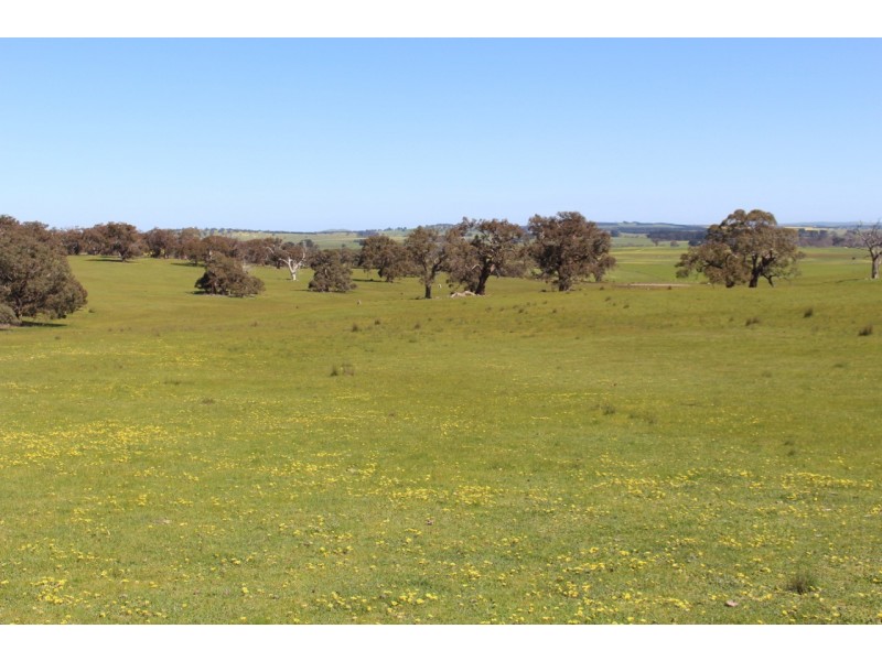 Pittong-Snake Valley Road, Pittong VIC 3360