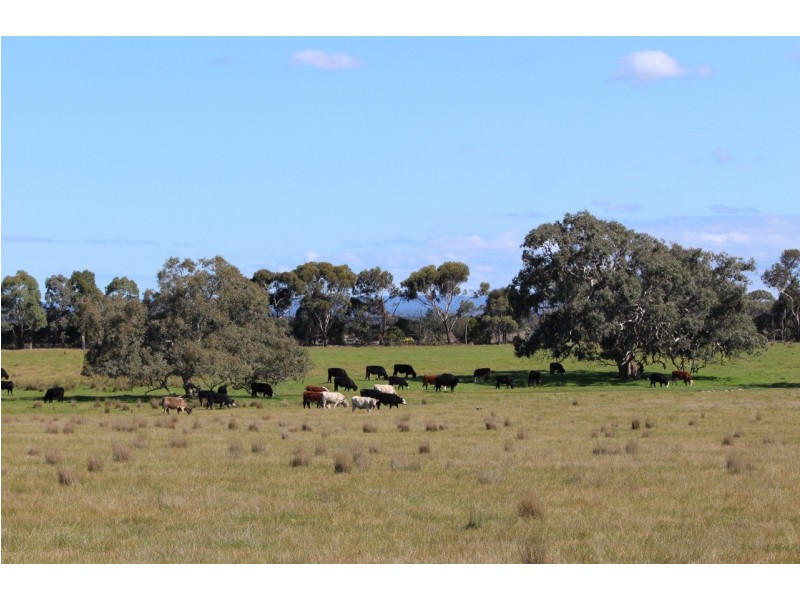 620 Hendy Main Road, Mount Moriac VIC 3240