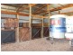 620 Hendy Main Road, Mount Moriac VIC 3240
