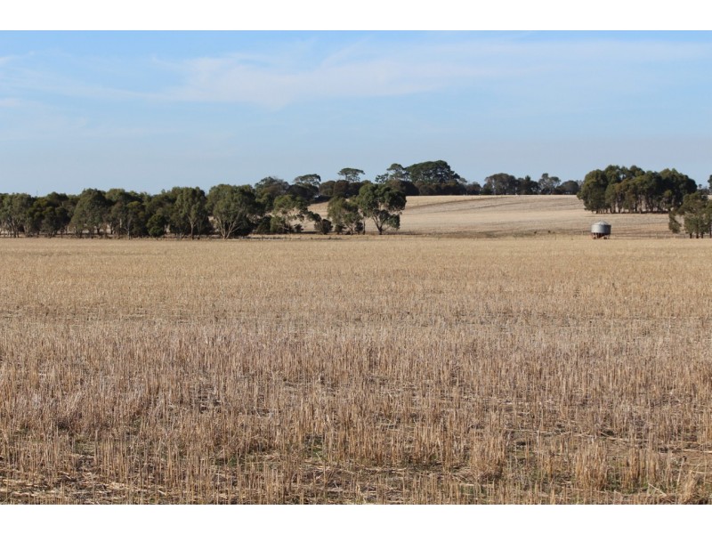 1115 Dickins Road, Freshwater Creek VIC 3216