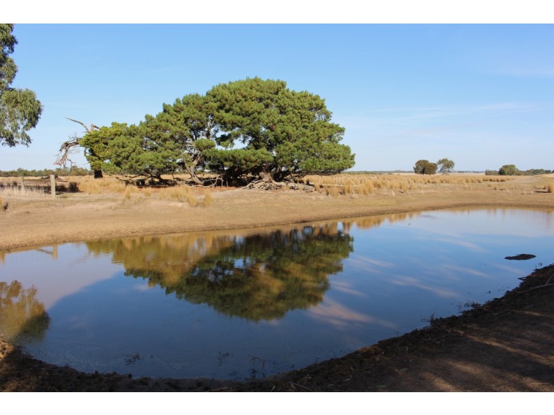 1115 Dickins Road, Freshwater Creek VIC 3216