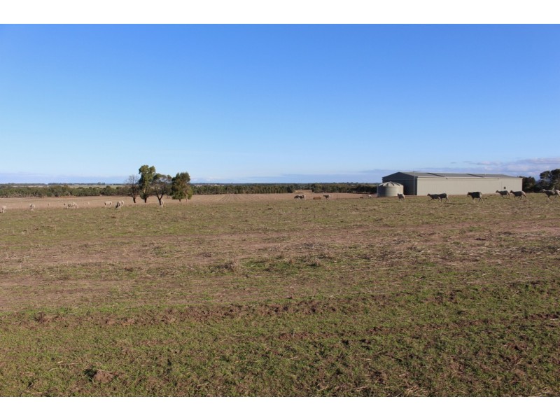 1115 Dickins Road, Freshwater Creek VIC 3216