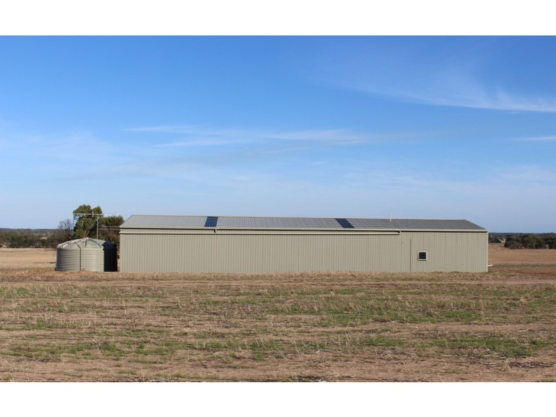 1115 Dickins Road, Freshwater Creek VIC 3216