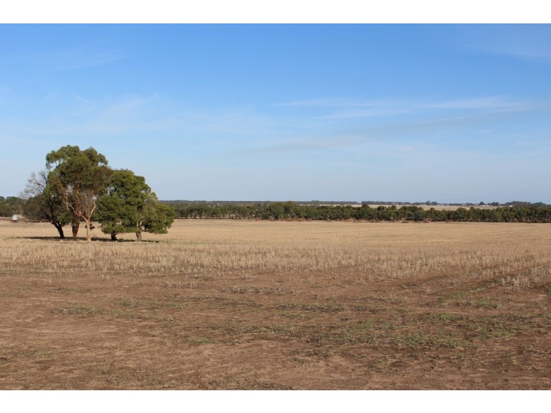 1115 Dickins Road, Freshwater Creek VIC 3216