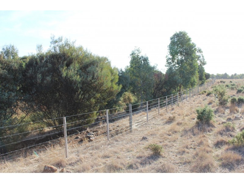 1115 Dickins Road, Freshwater Creek VIC 3216