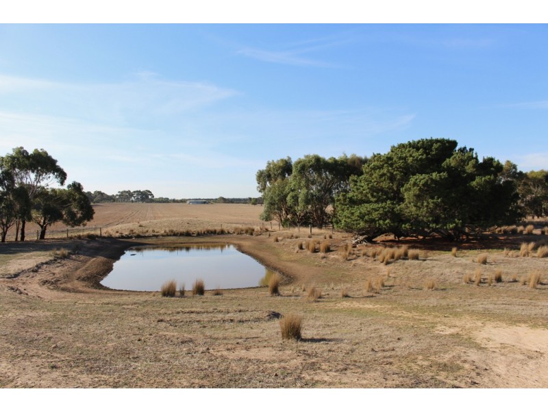 1115 Dickins Road, Freshwater Creek VIC 3216