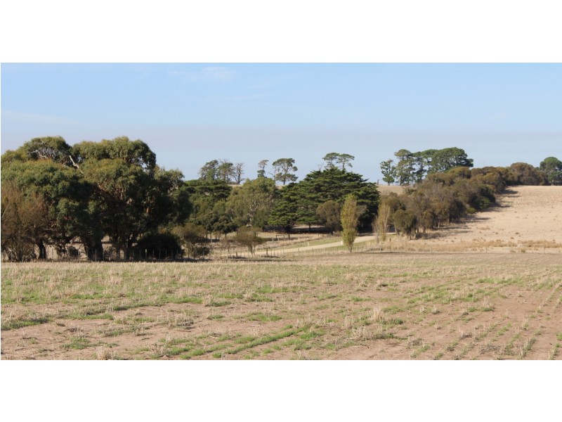 1115 Dickins Road, Freshwater Creek VIC 3216