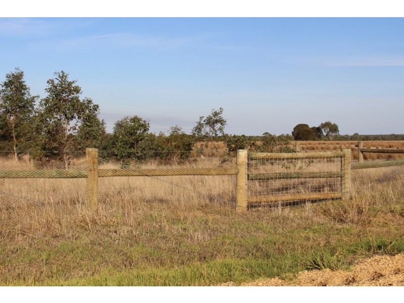 1115 Dickins Road, Freshwater Creek VIC 3216