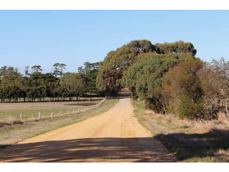 1115 Dickins Road, Freshwater Creek VIC 3216