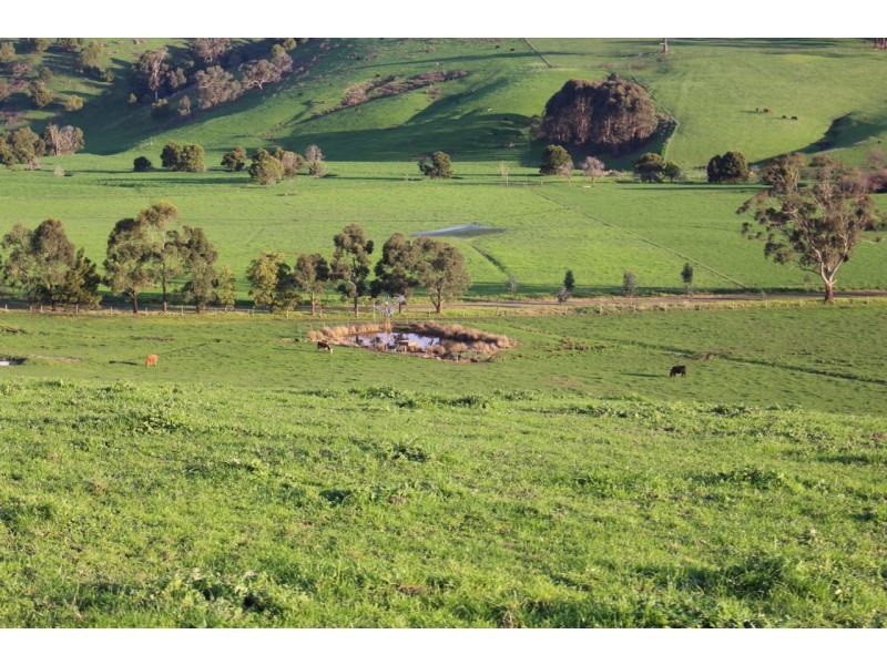 110 Rowlands Road, Barwon Downs VIC 3243