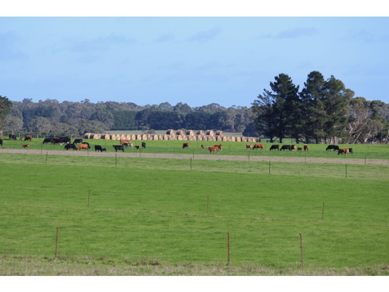 110 Rowlands Road, Barwon Downs VIC 3243