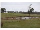 Lot 2, Junipers Road, Haddon VIC 3351