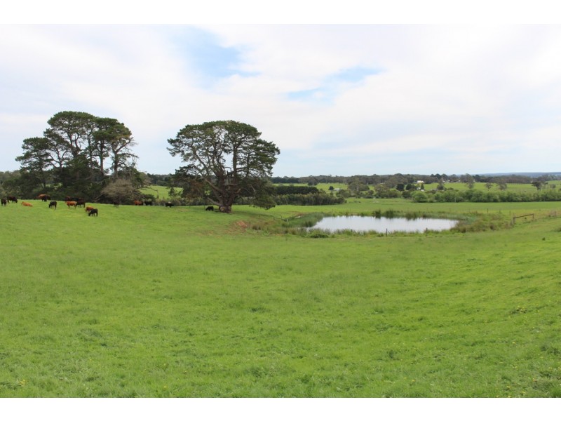 110 Rowlands Road, Barwon Downs VIC 3243