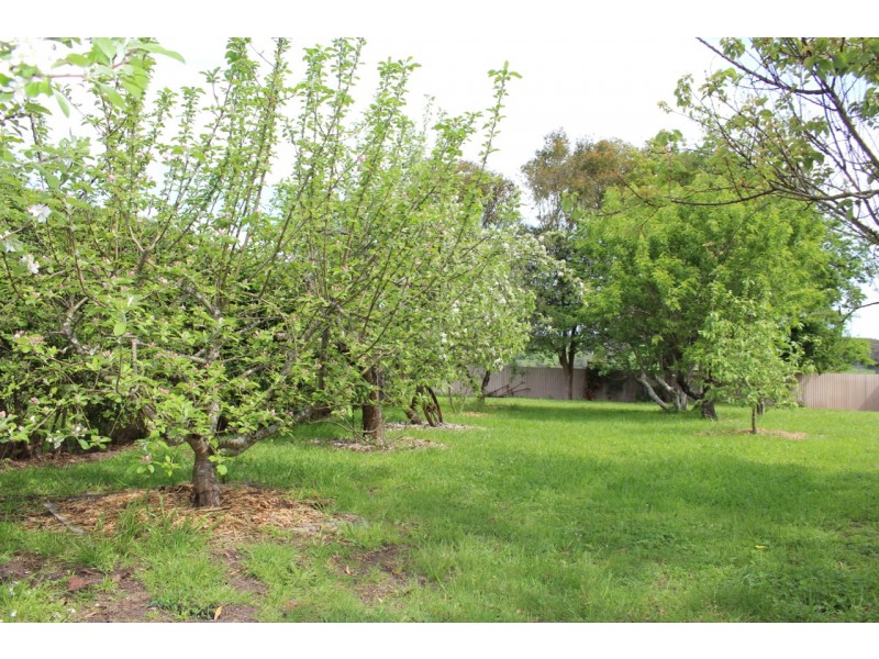 110 Rowlands Road, Barwon Downs VIC 3243