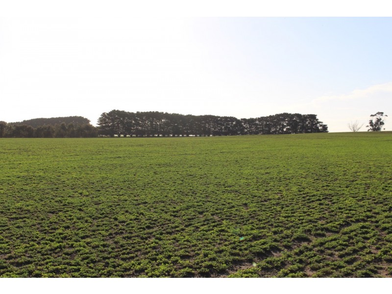 ‘GUMLEIGH’ 200 Weering School Road, Weering VIC 3251