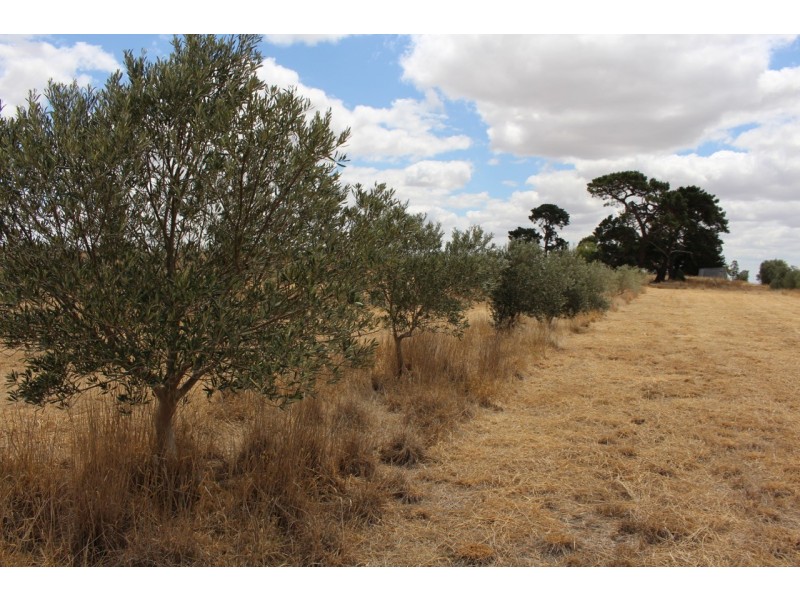 50 Storans Road, Eurack VIC 3251