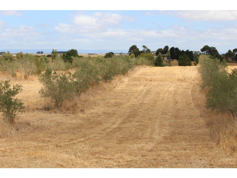 50 Storans Road, Eurack VIC 3251