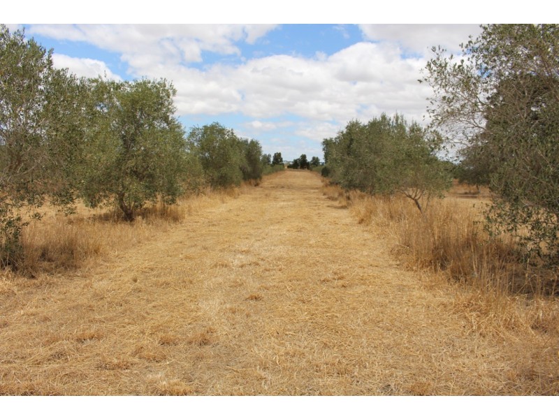 50 Storans Road, Eurack VIC 3251