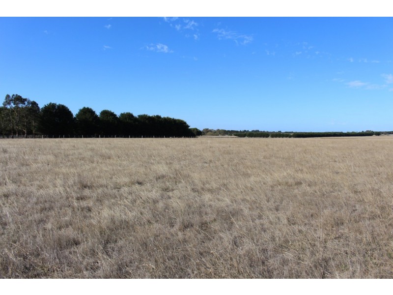 55 Gherang Road, Modewarre VIC 3240