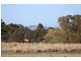 55 Gherang Road, Modewarre VIC 3240