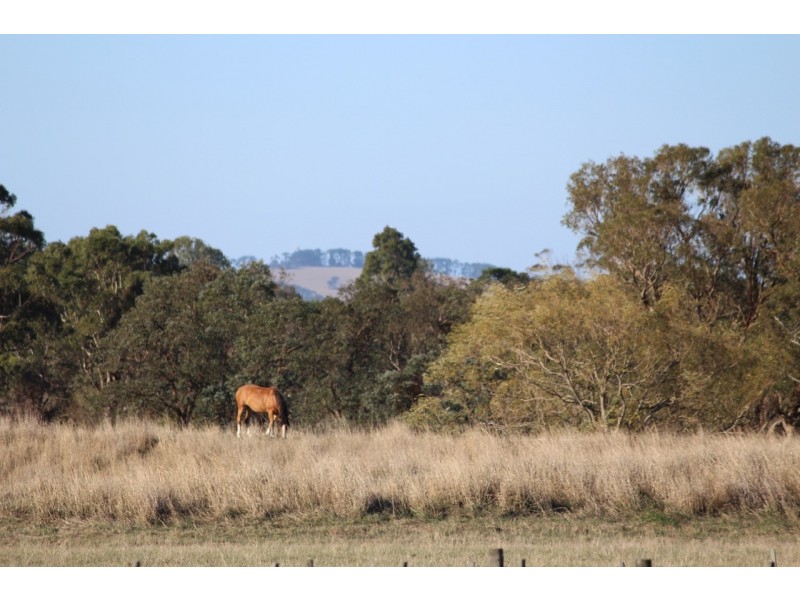 55 Gherang Road, Modewarre VIC 3240