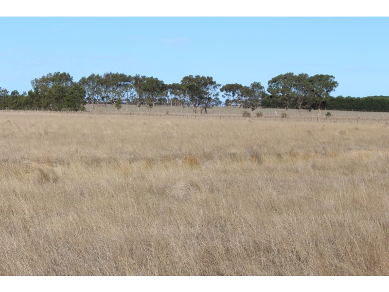 55 Gherang Road, Modewarre VIC 3240