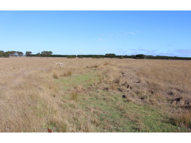 55 Gherang Road, Modewarre VIC 3240