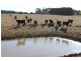 55 Gherang Road, Modewarre VIC 3240