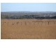 55 Gherang Road, Modewarre VIC 3240