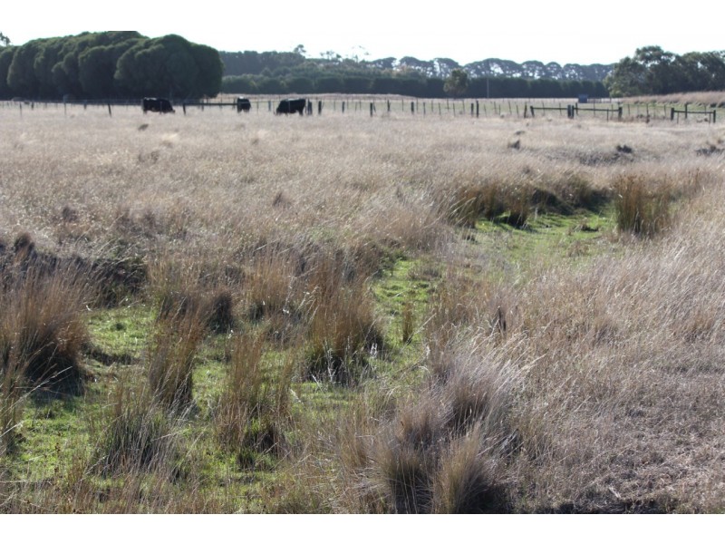 55 Gherang Road, Modewarre VIC 3240
