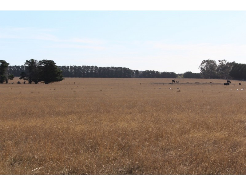 55 Gherang Road, Modewarre VIC 3240