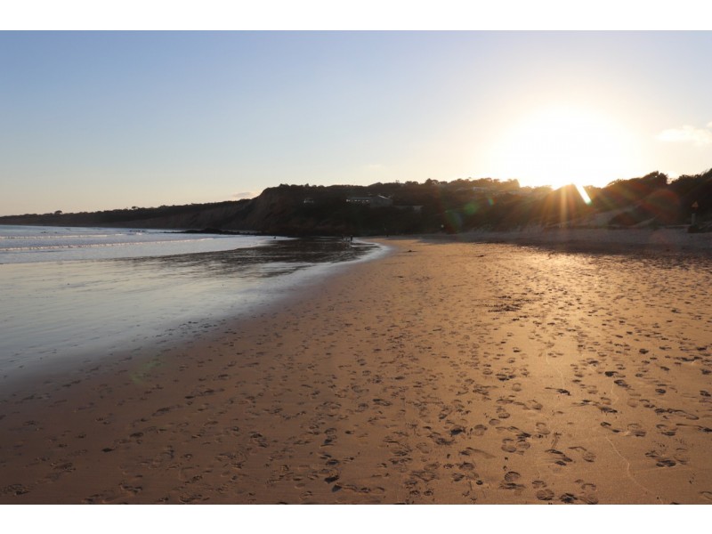 16 FREDERICK STREET, Anglesea VIC 3230