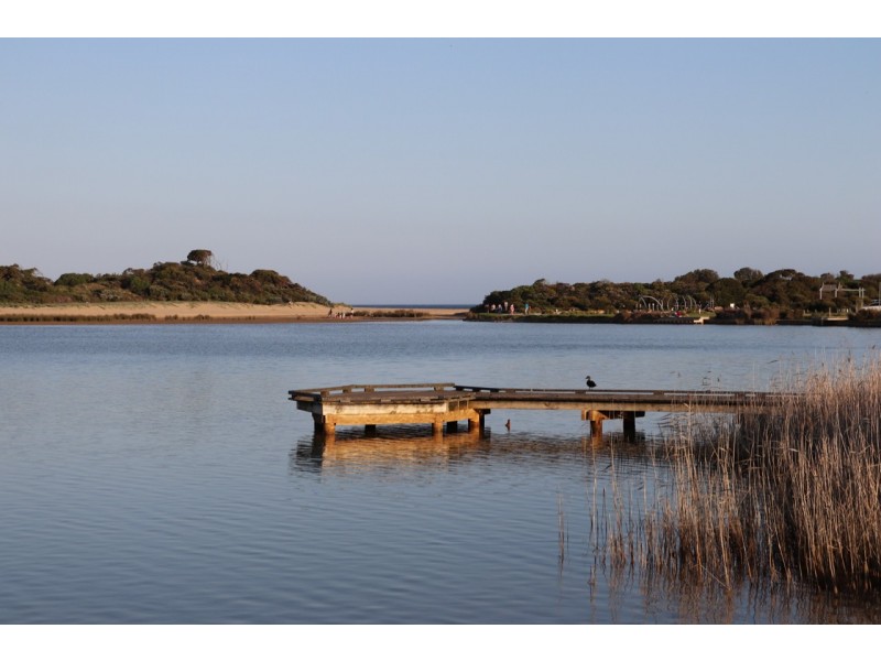 16 FREDERICK STREET, Anglesea VIC 3230