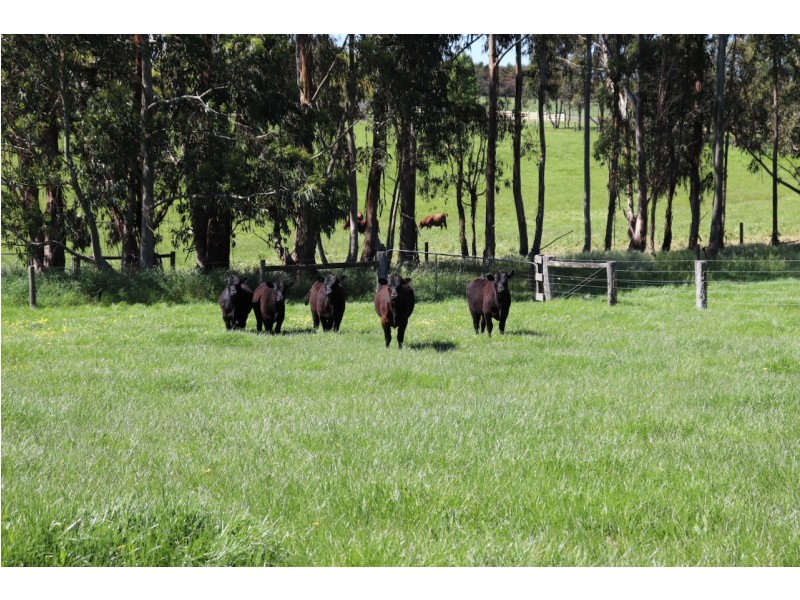 110 DRAPERS ROAD, Colac East VIC 3250