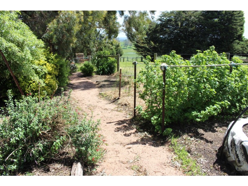 110 Rowlands Road, Barwon Downs VIC 3243