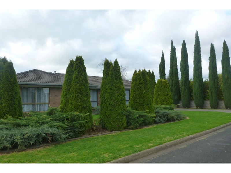 2 TRISTANIA STREET, Mount Gambier SA 5290