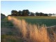 Lake Edward Road, Glencoe SA 5291