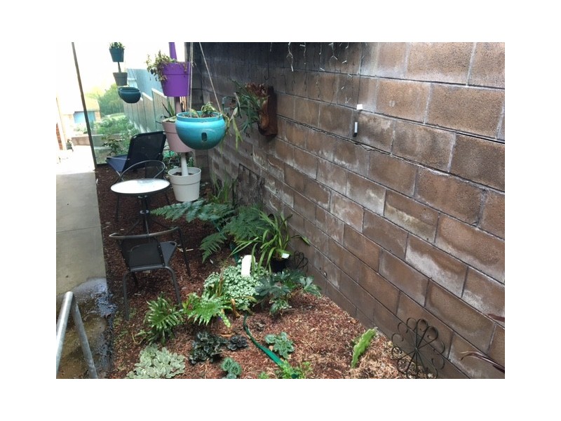 26 Blume Terrace, Mount Gambier SA 5290