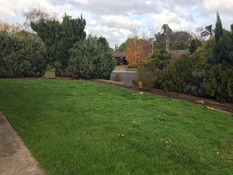 11 KINGSLEY COURT, Mount Gambier SA 5290