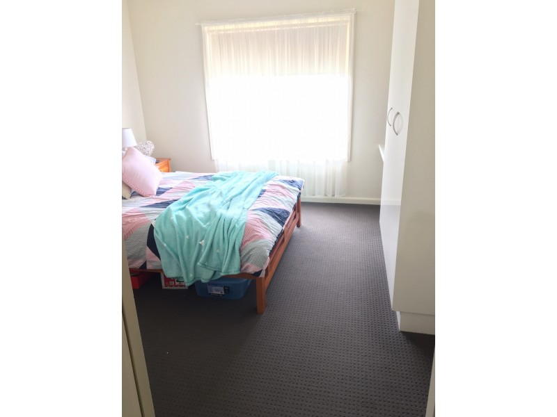 23 BIRDWOOD AVENUE, Mount Gambier SA 5290