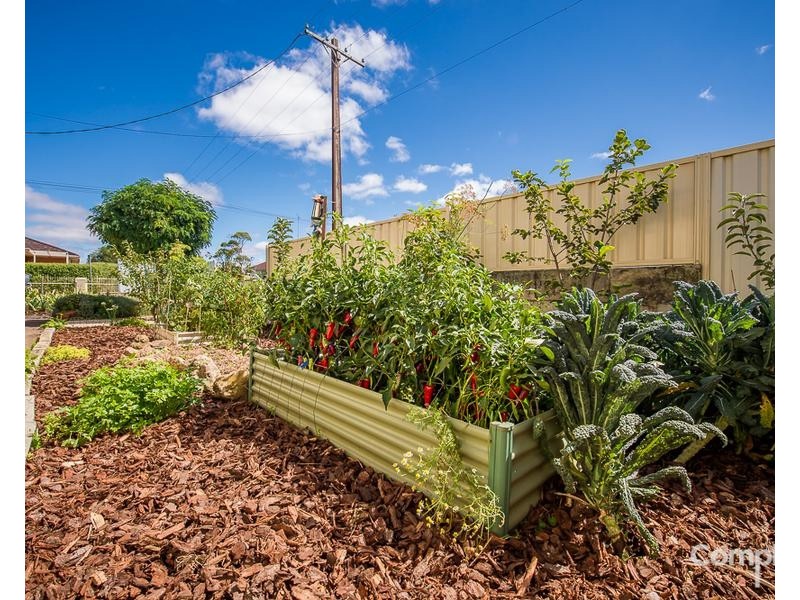 31 JOHN STREET, Mount Gambier SA 5290