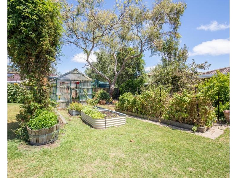 3 BELLSHIRE PLACE, Mount Gambier SA 5290
