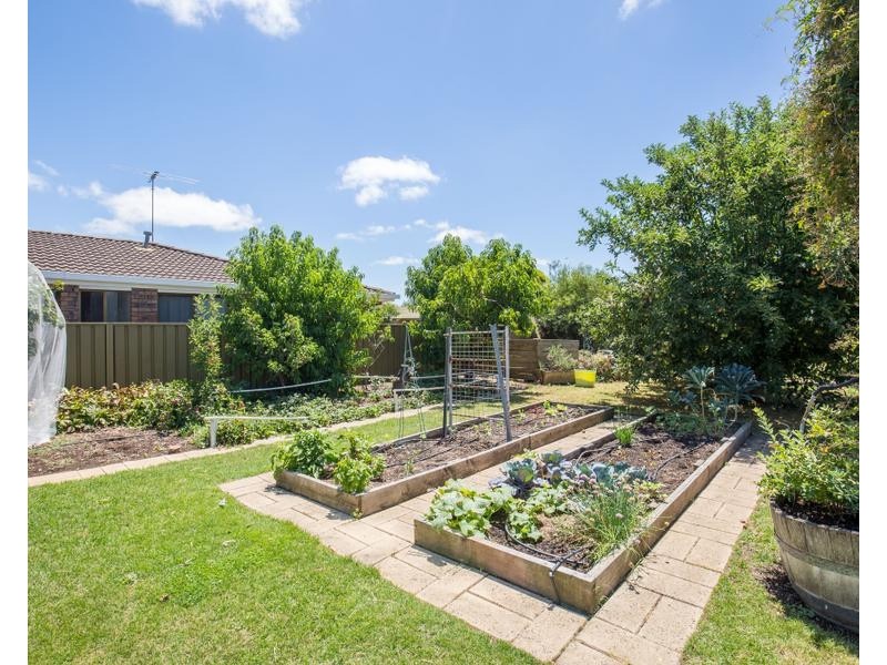 3 BELLSHIRE PLACE, Mount Gambier SA 5290