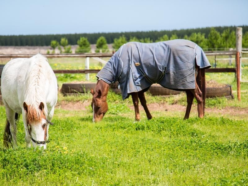 25 KAIN ROAD, Caroline SA 5291