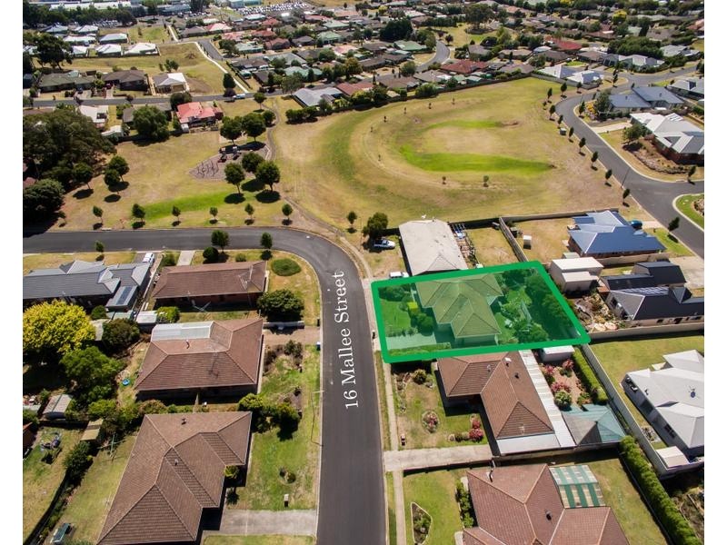 16 MALLEE STREET, Mount Gambier SA 5290