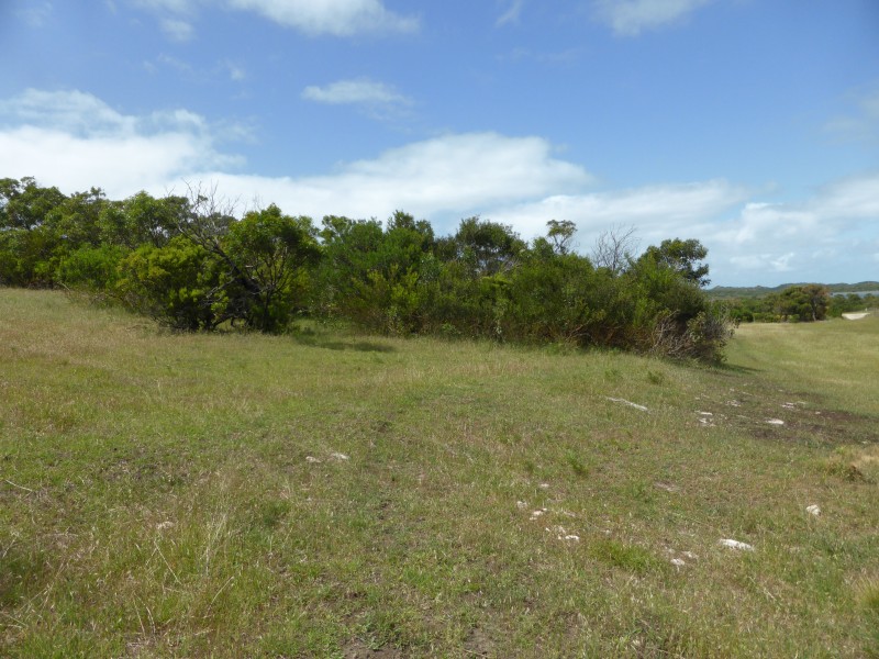 6 OLD BRIDGE ROAD, Nelson VIC 3292