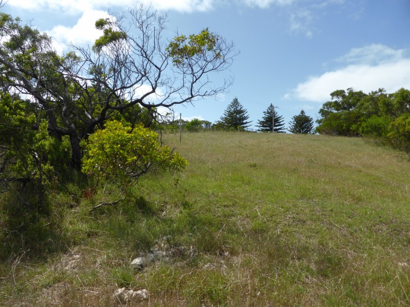 6 OLD BRIDGE ROAD, Nelson VIC 3292