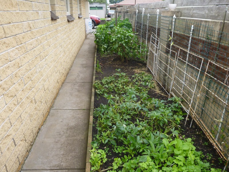 6/15 MILLARD STREET, Mount Gambier SA 5290