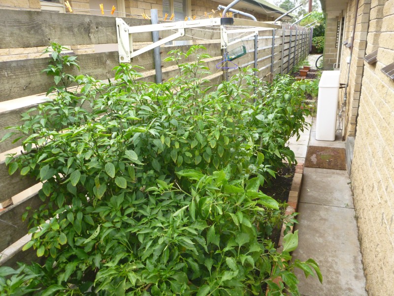 6/15 MILLARD STREET, Mount Gambier SA 5290